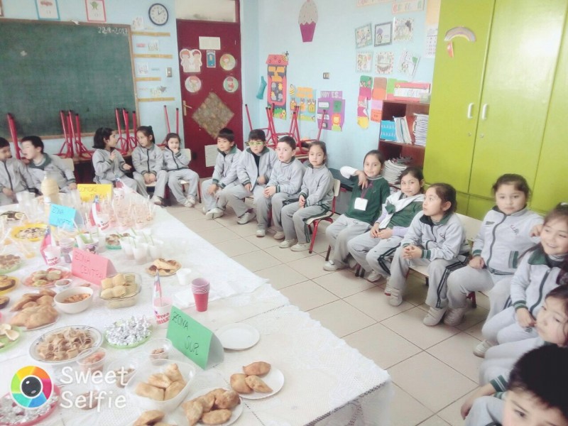 Colegio Colonos de Alerce