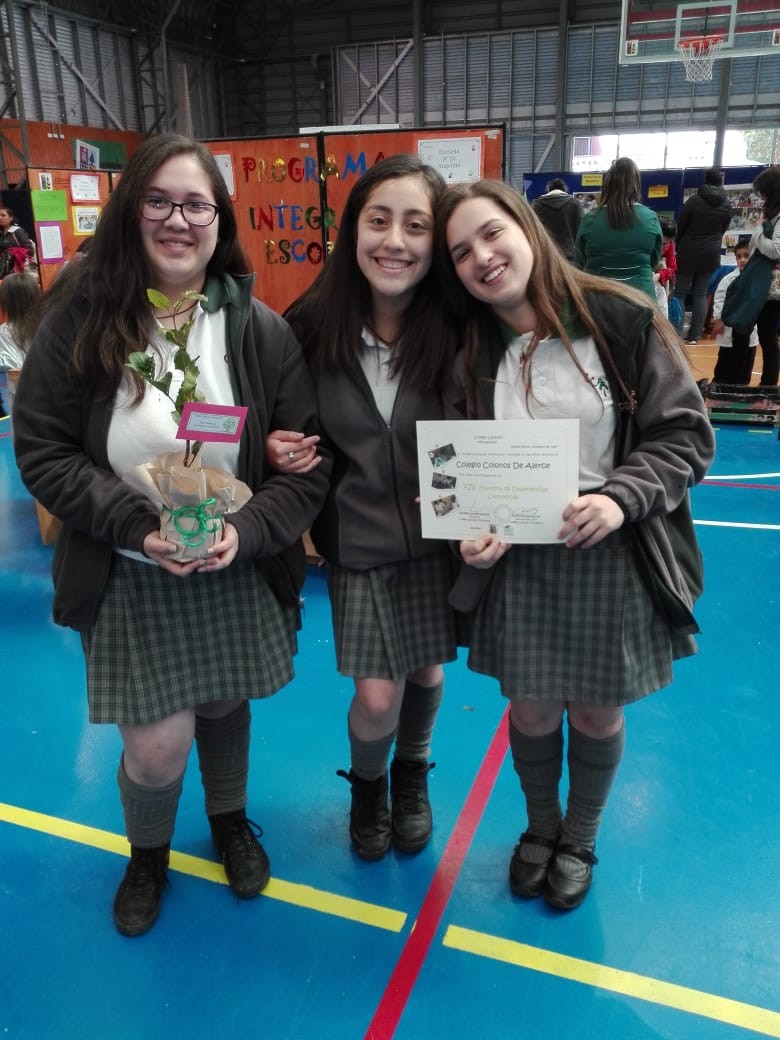 Colegio Colonos de Alerce