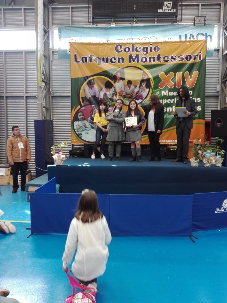 Colegio Colonos de Alerce