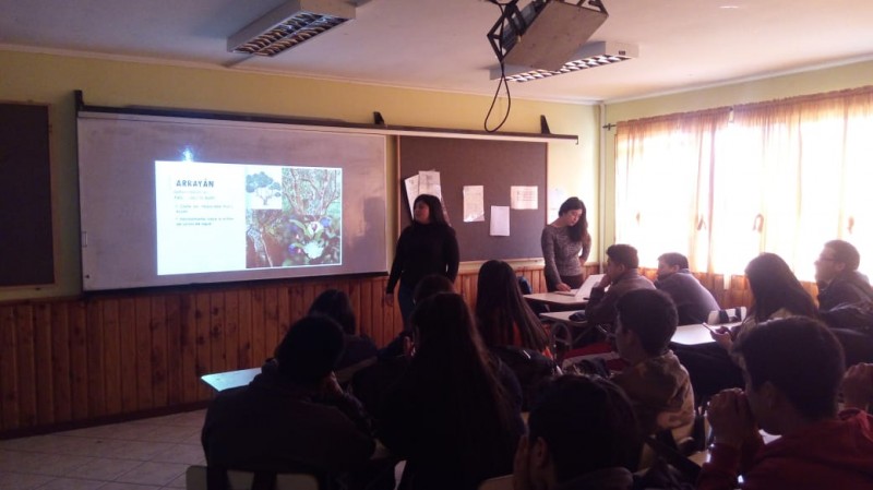 Colegio Colonos de Alerce