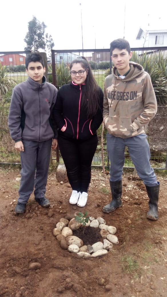 Colegio Colonos de Alerce