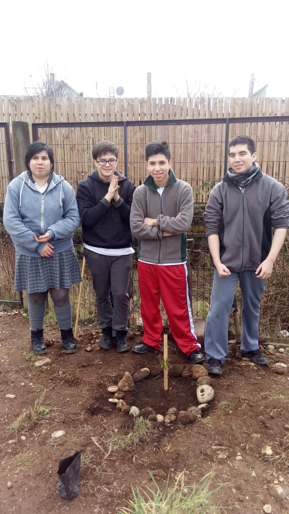 Colegio Colonos de Alerce