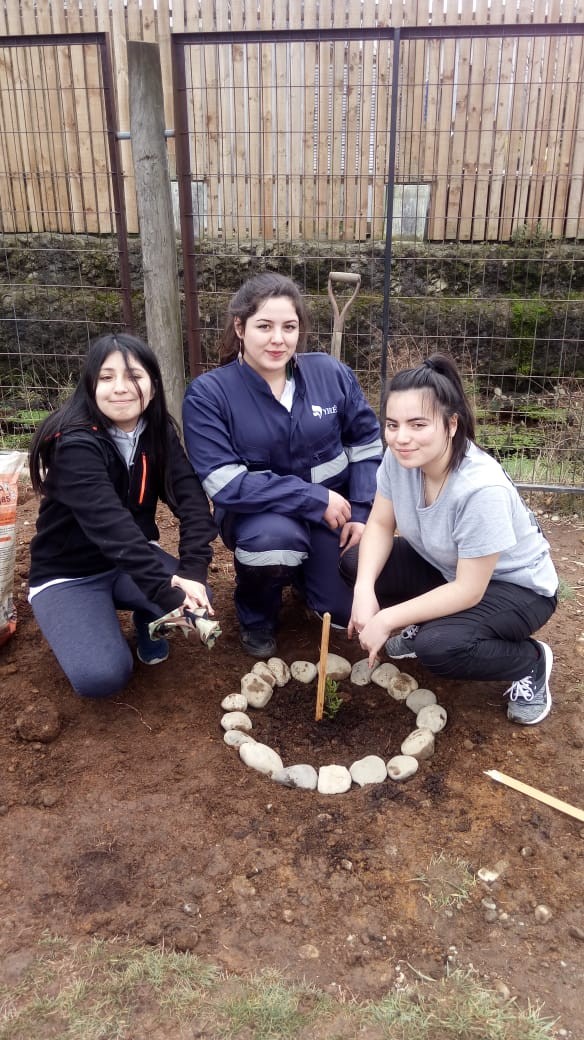 Colegio Colonos de Alerce