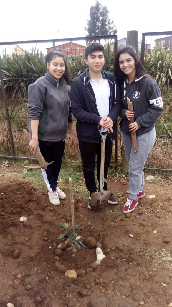 Colegio Colonos de Alerce