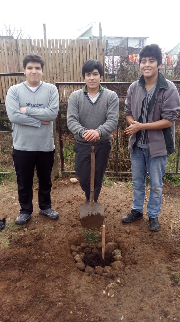 Colegio Colonos de Alerce