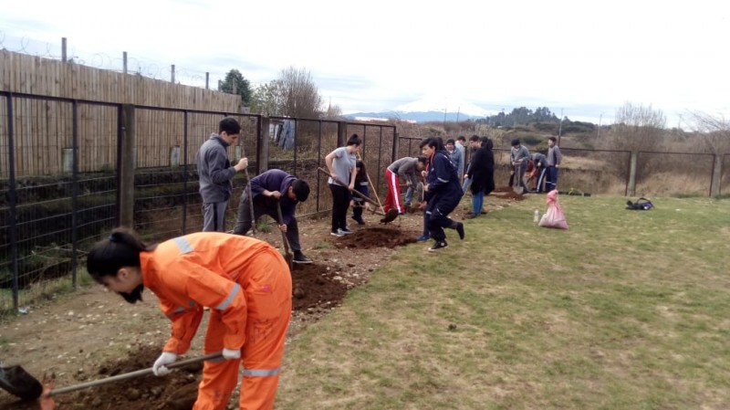 Colegio Colonos de Alerce