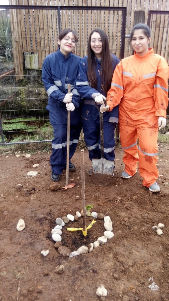 Colegio Colonos de Alerce