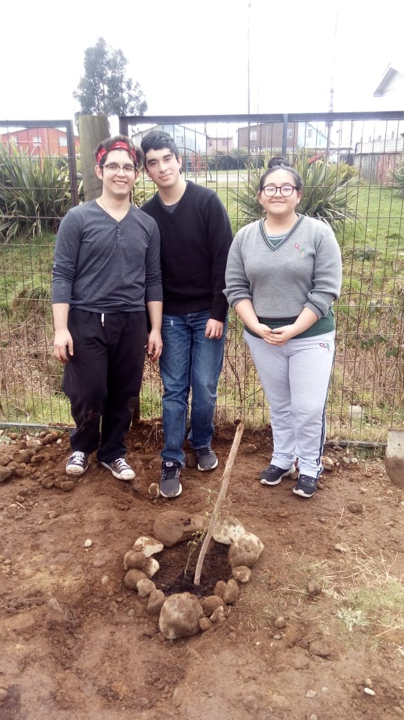 Colegio Colonos de Alerce