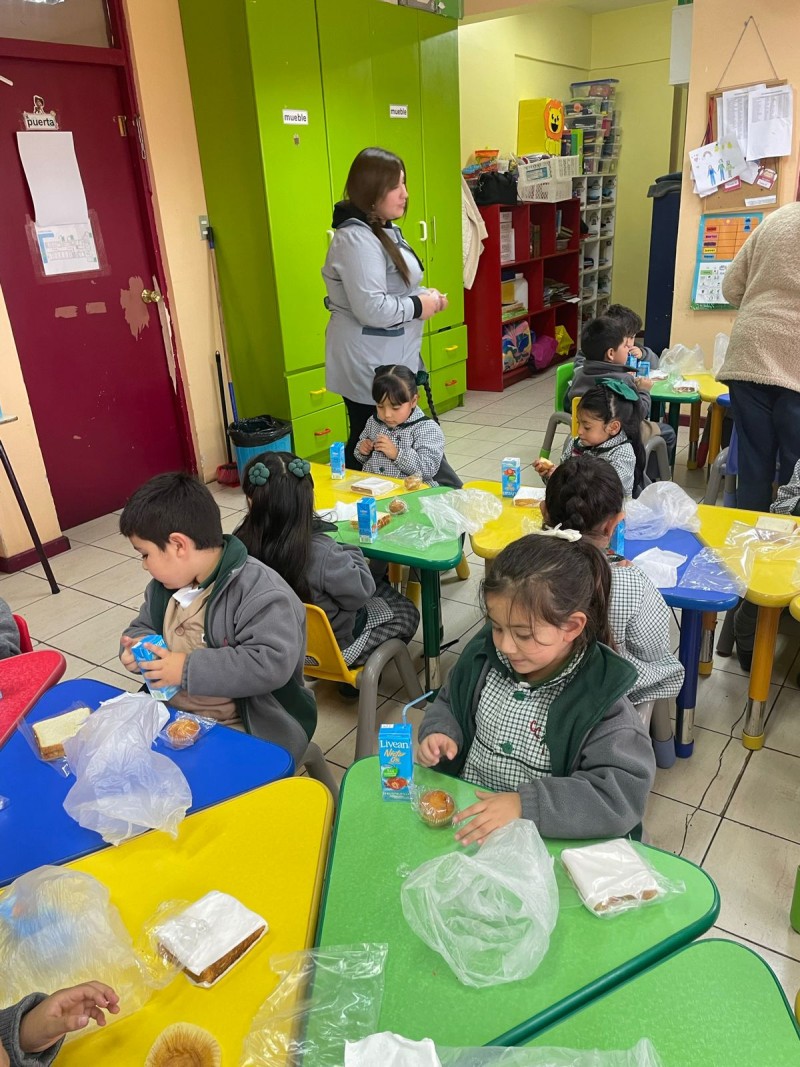 Colegio Colonos de Alerce