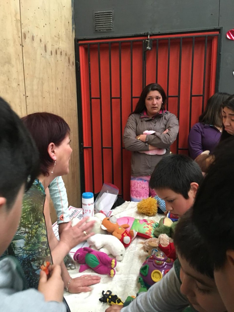 Colegio Colonos de Alerce