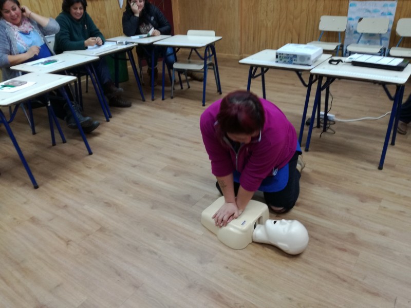 Colegio Colonos de Alerce