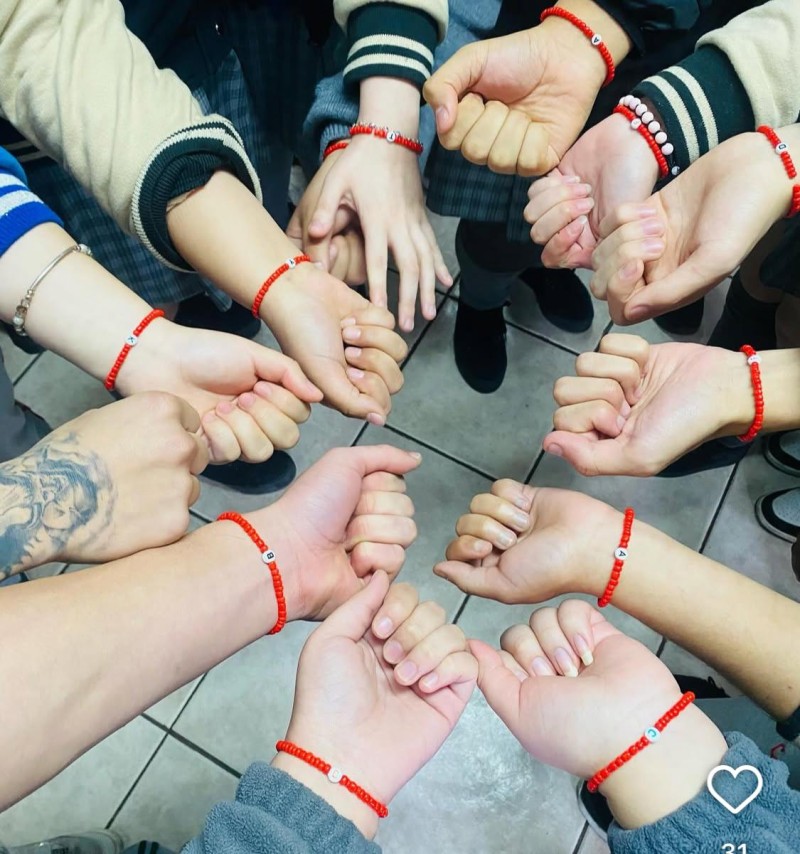 Colegio Colonos de Alerce