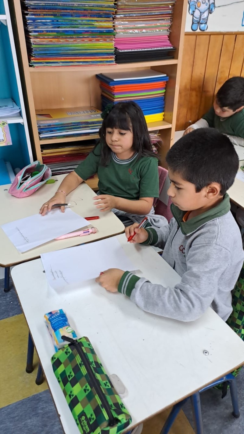 Colegio Colonos de Alerce