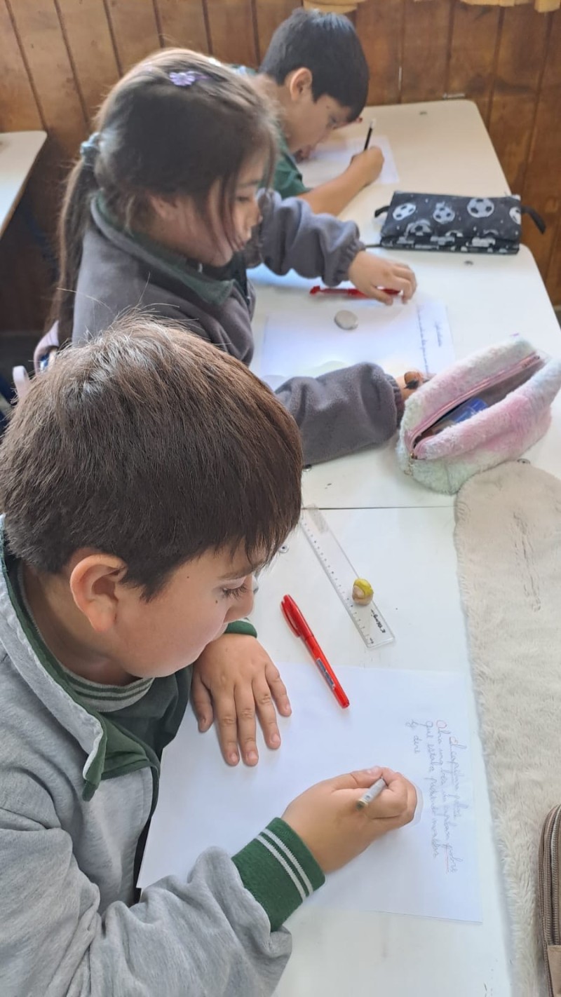 Colegio Colonos de Alerce