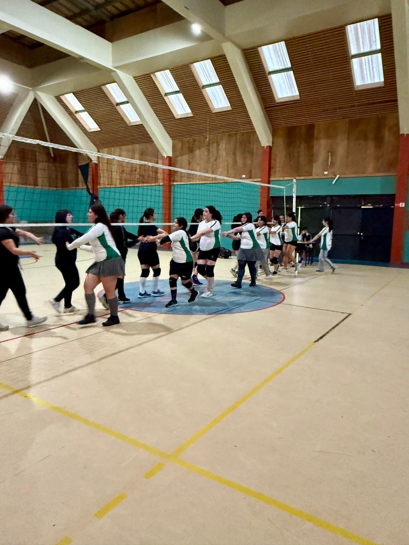 Colegio Colonos de Alerce