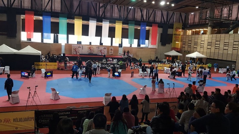 Colegio Colonos de Alerce