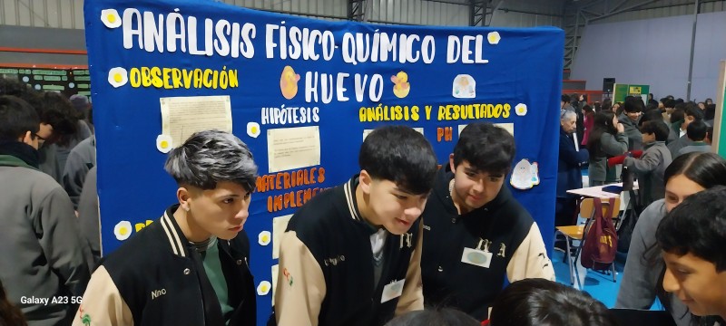 Colegio Colonos de Alerce