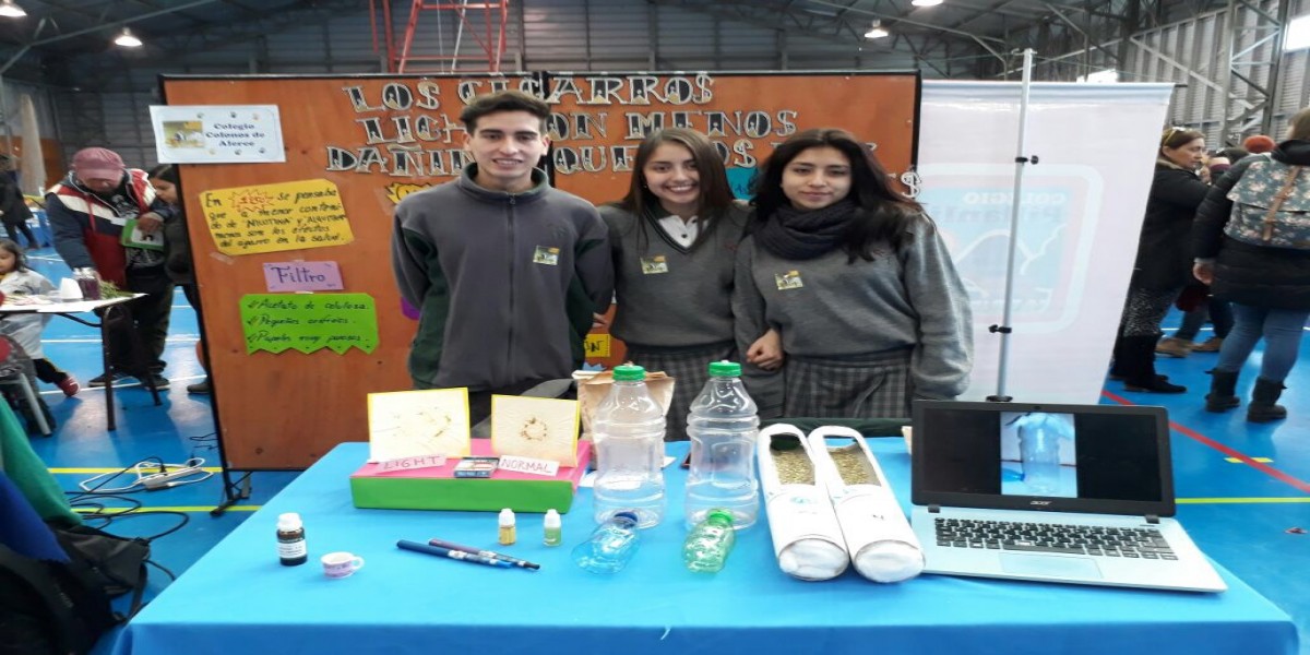 Colegio Colonos de Alerce