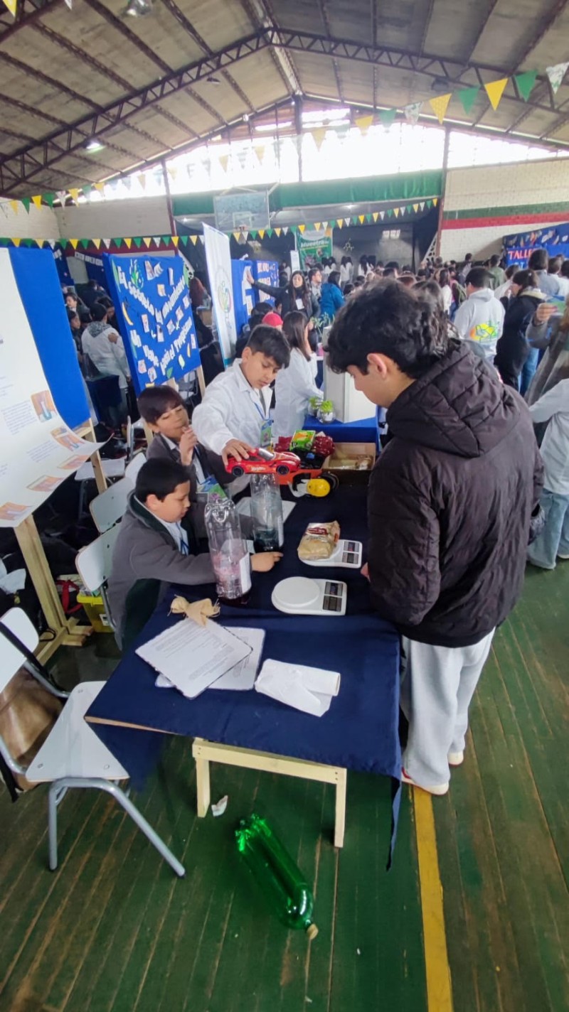 Colegio Colonos de Alerce