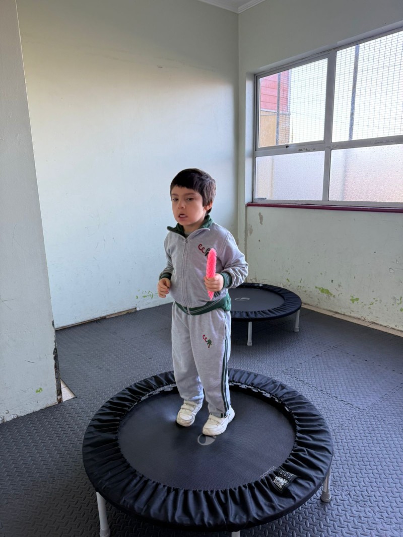 Colegio Colonos de Alerce