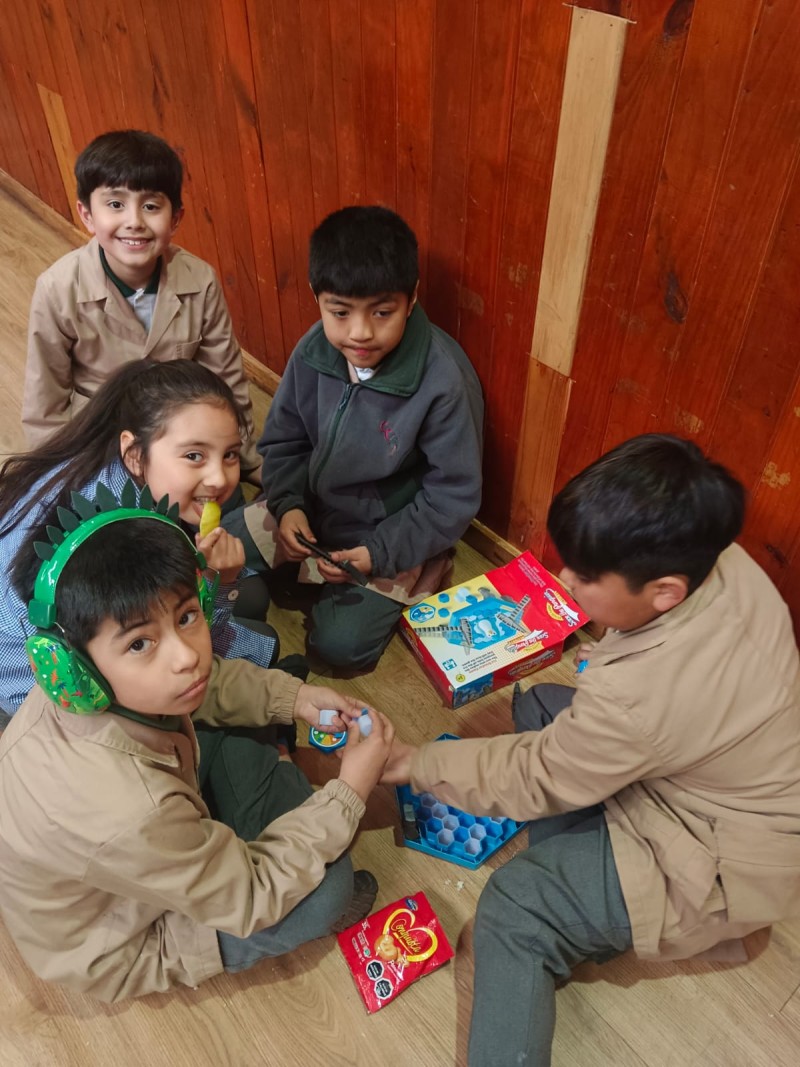 Colegio Colonos de Alerce
