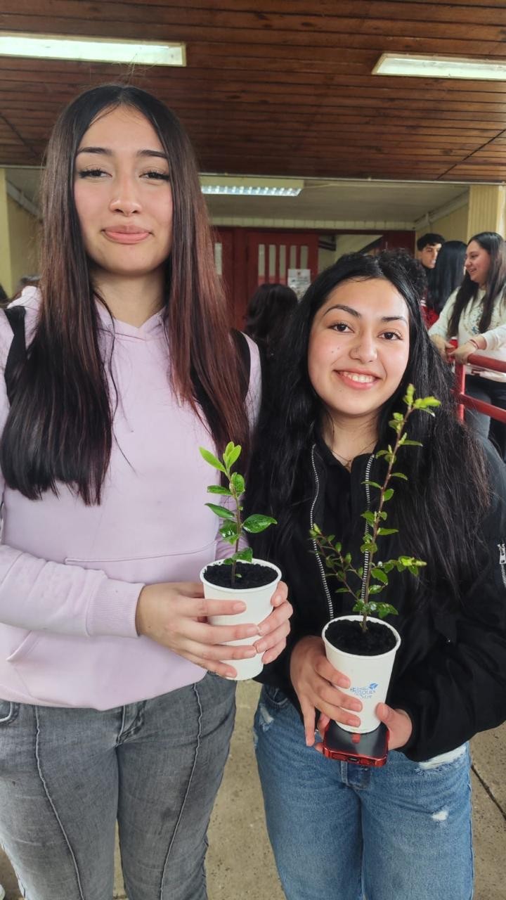 Colegio Colonos de Alerce