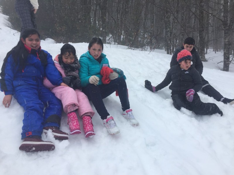 Colegio Colonos de Alerce