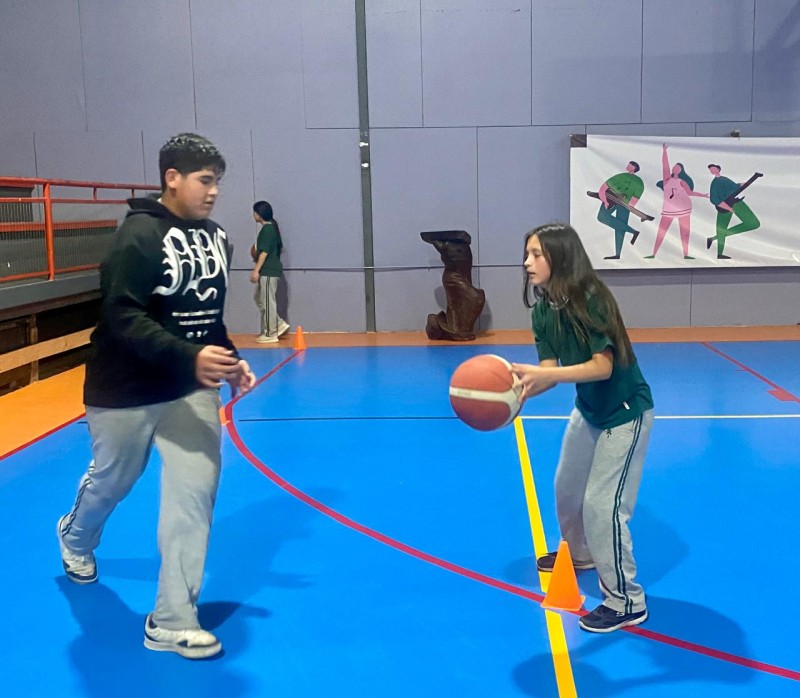 Colegio Colonos de Alerce