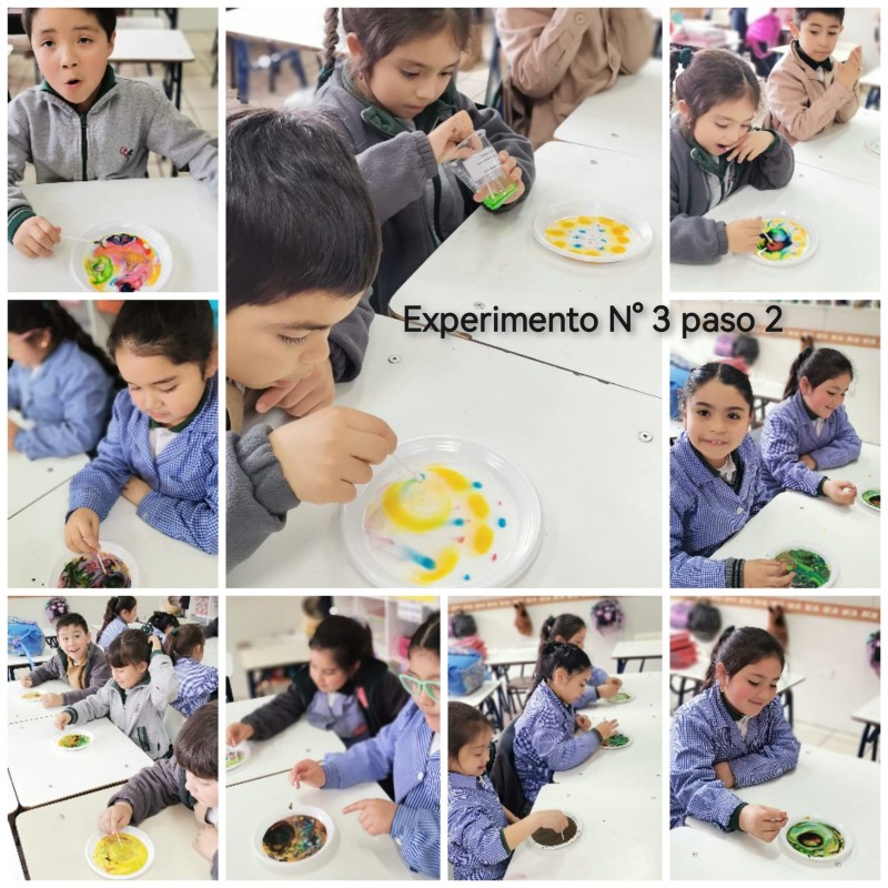 Colegio Colonos de Alerce