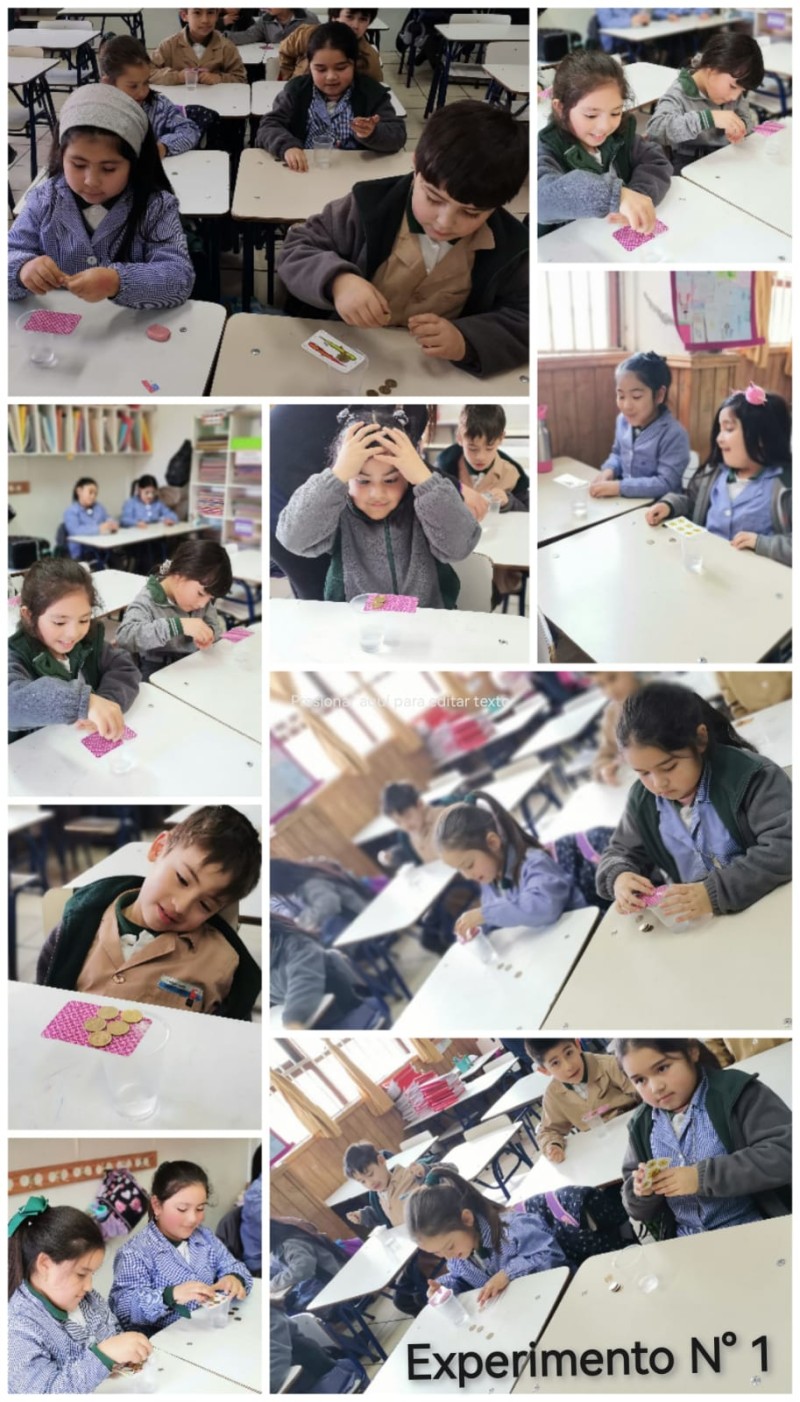 Colegio Colonos de Alerce