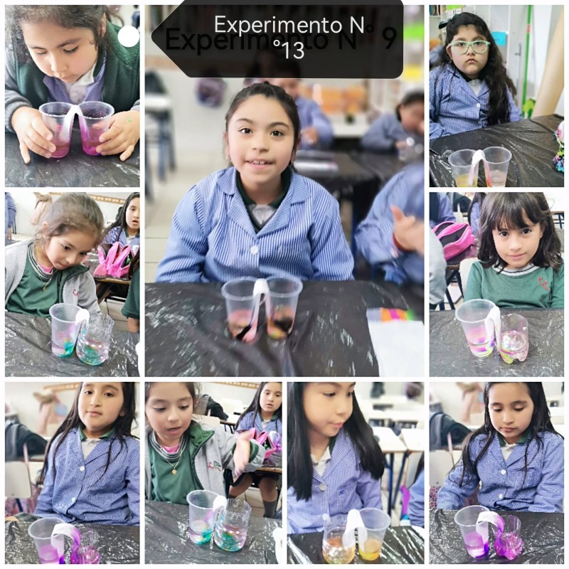 Colegio Colonos de Alerce