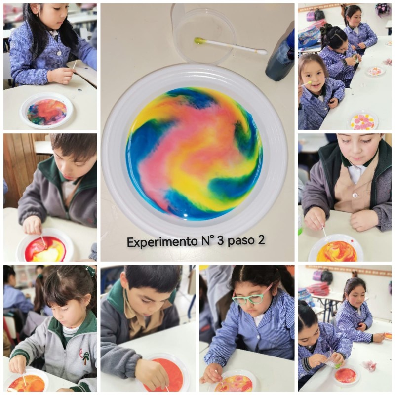 Colegio Colonos de Alerce