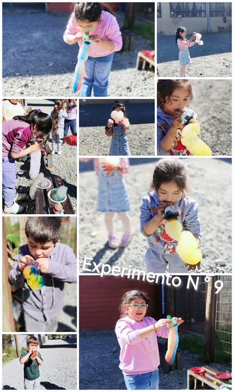 Colegio Colonos de Alerce