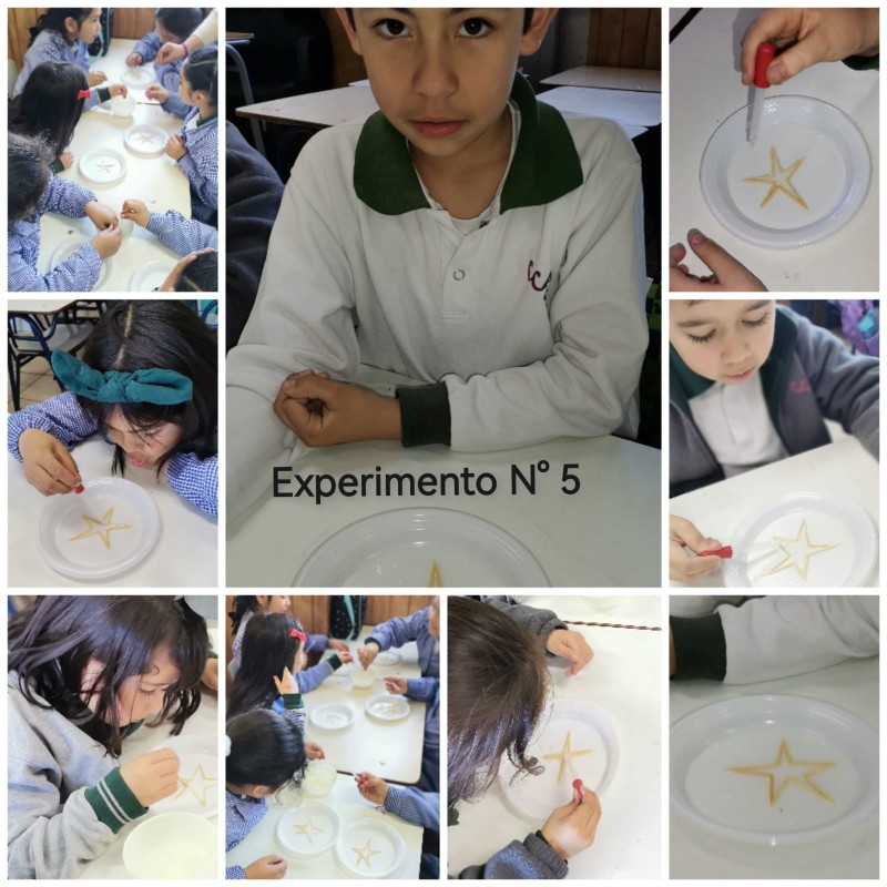 Colegio Colonos de Alerce