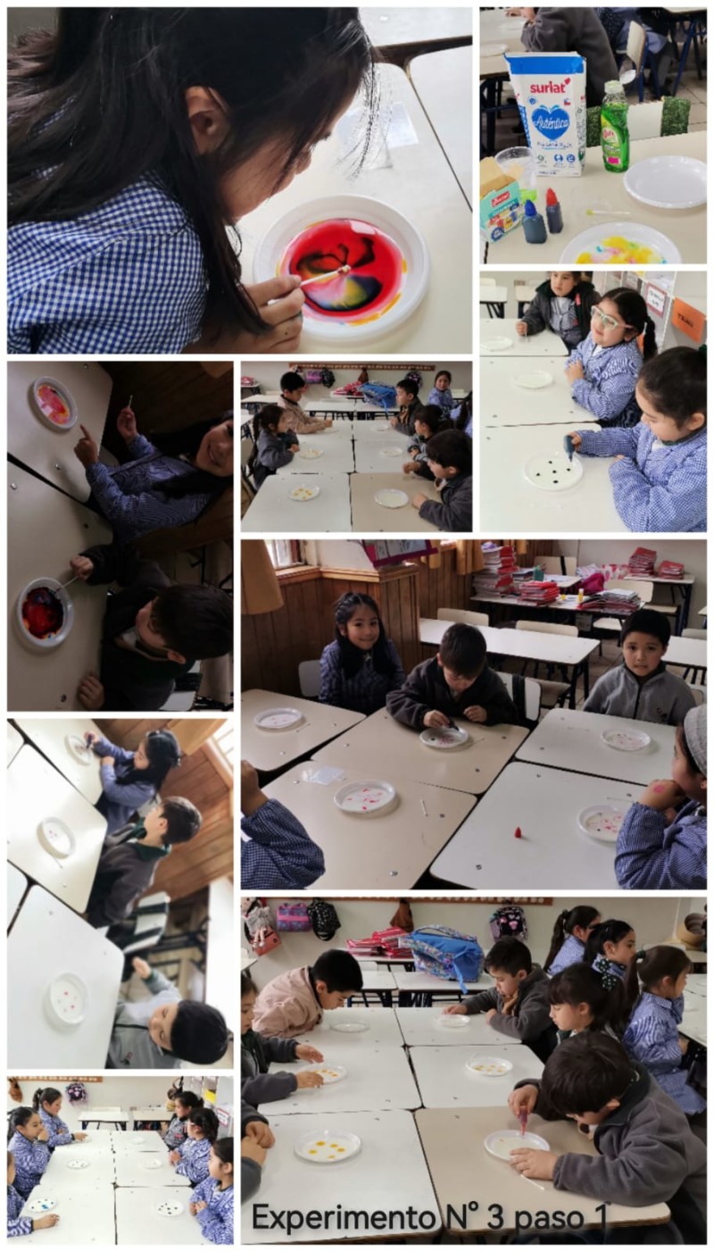 Colegio Colonos de Alerce