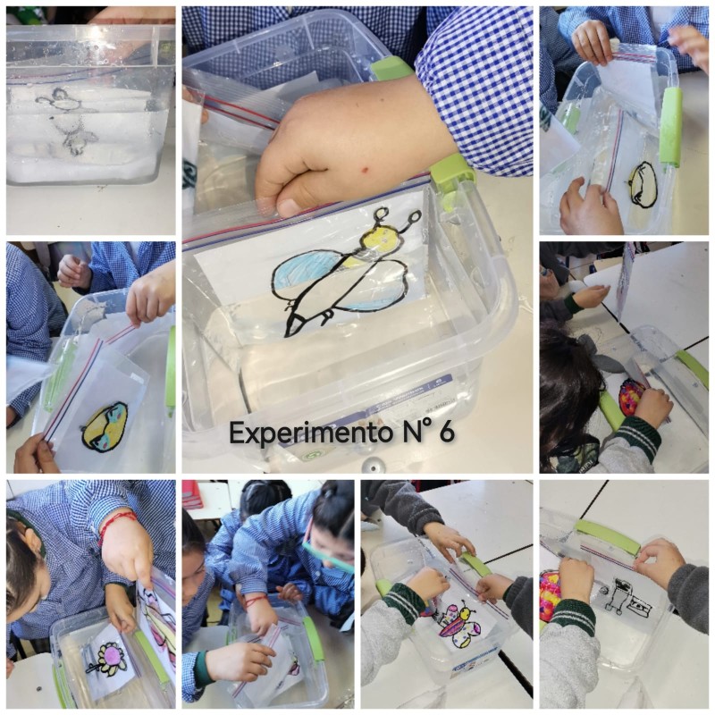 Colegio Colonos de Alerce