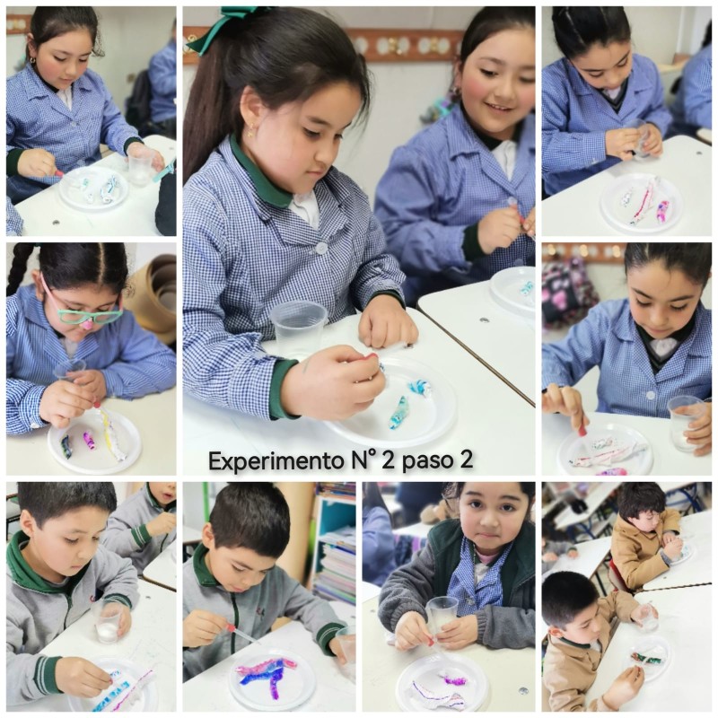 Colegio Colonos de Alerce