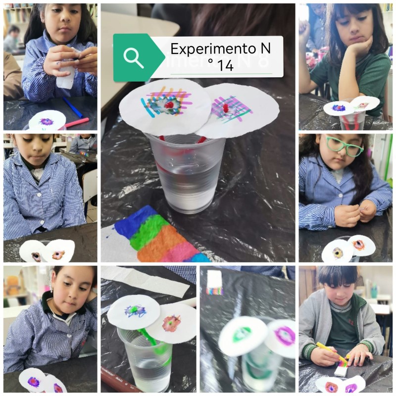 Colegio Colonos de Alerce