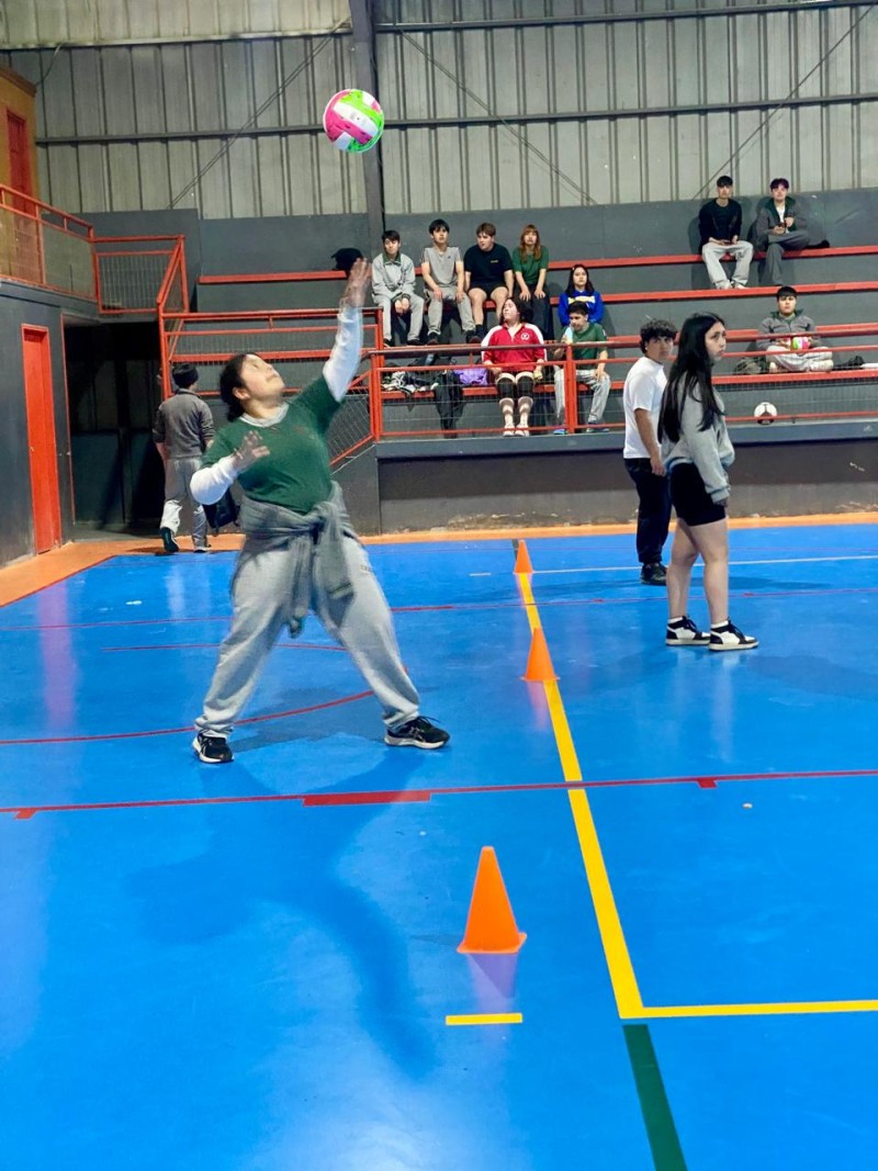 Colegio Colonos de Alerce