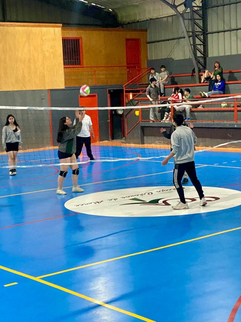 Colegio Colonos de Alerce