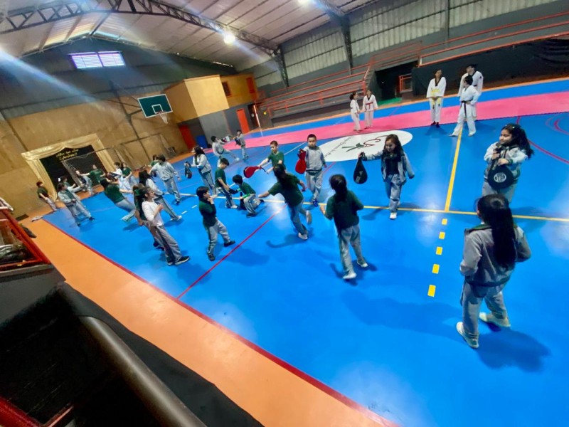 Colegio Colonos de Alerce