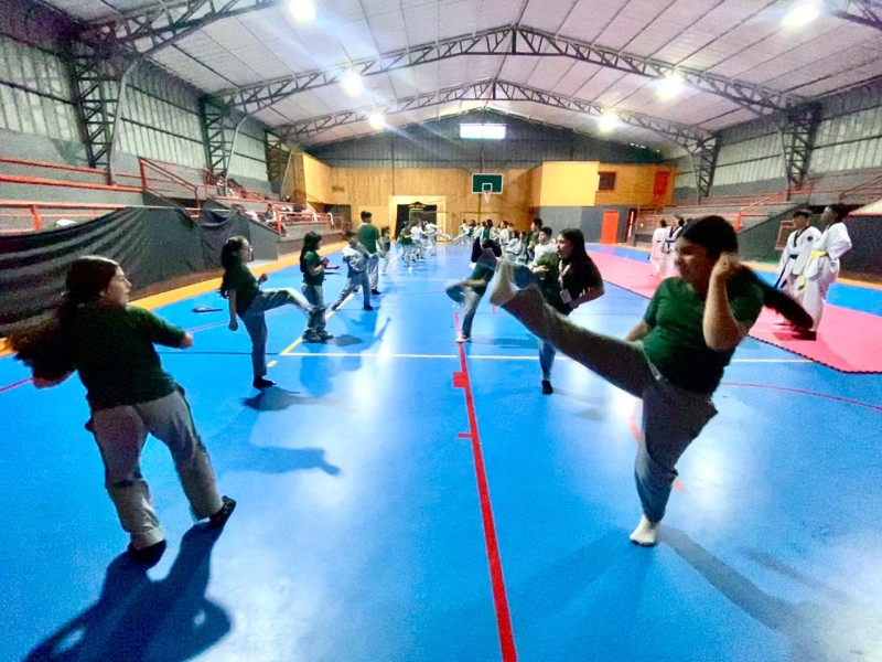 Colegio Colonos de Alerce